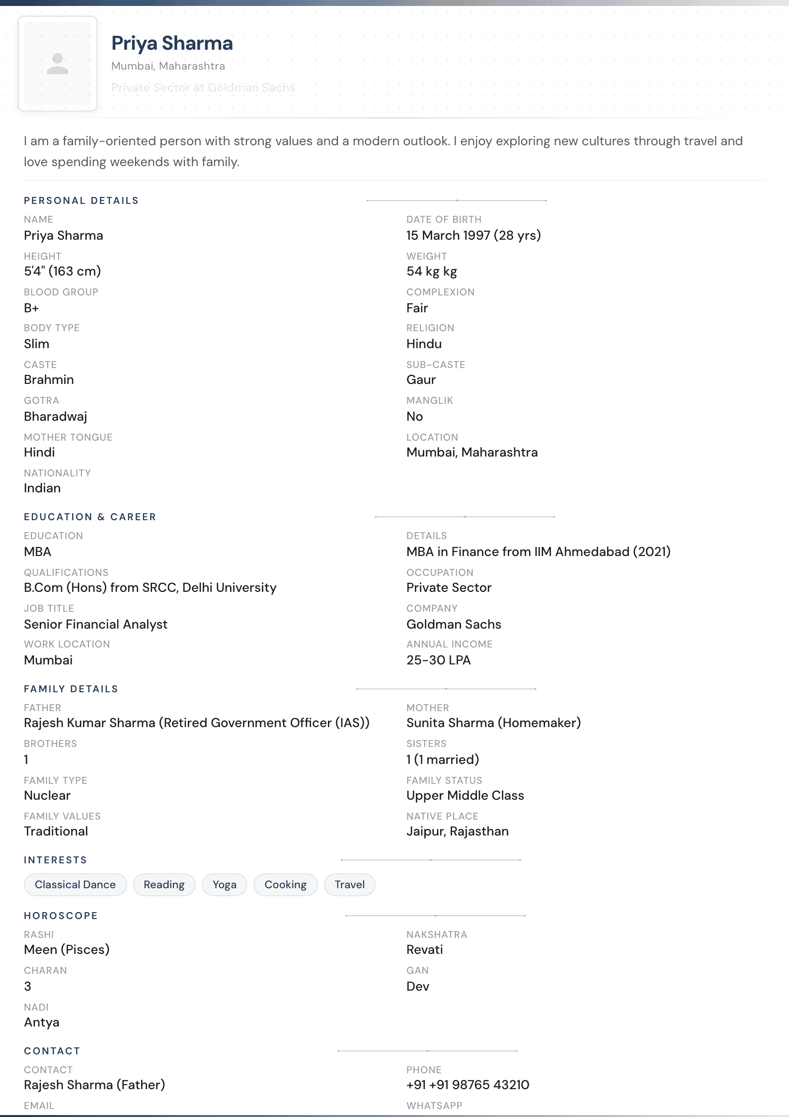 NRI Professional template preview